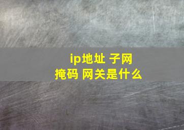 ip地址 子网掩码 网关是什么